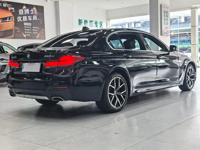 BMW 5 Series — Фото автомобиля 17