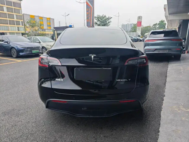 Tesla Model Y — Фото автомобиля 21