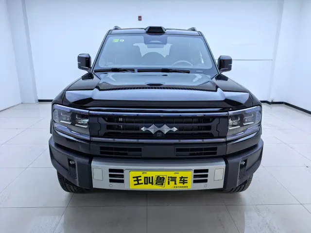 BYD FangChengBao Leopard 5 — Фото автомобиля 2