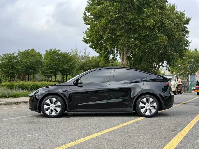 Tesla Model Y — Фото автомобиля 3