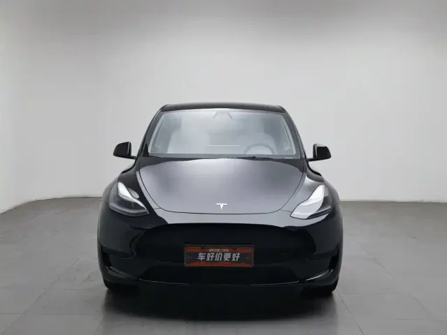 Tesla Model Y — Фото автомобиля 3