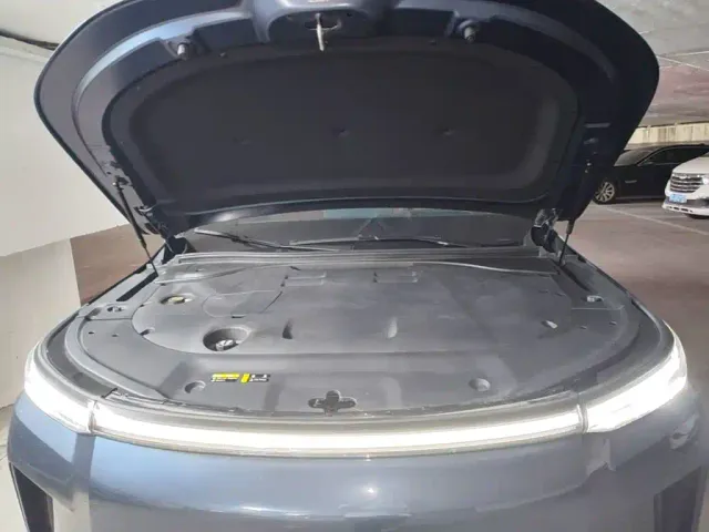 GAC Trumpchi Xiangwang S9 — Фото автомобиля 19
