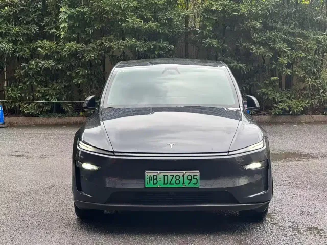 Tesla Model Y — Фото автомобиля 2