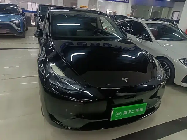 Tesla Model Y — Фото автомобиля 2