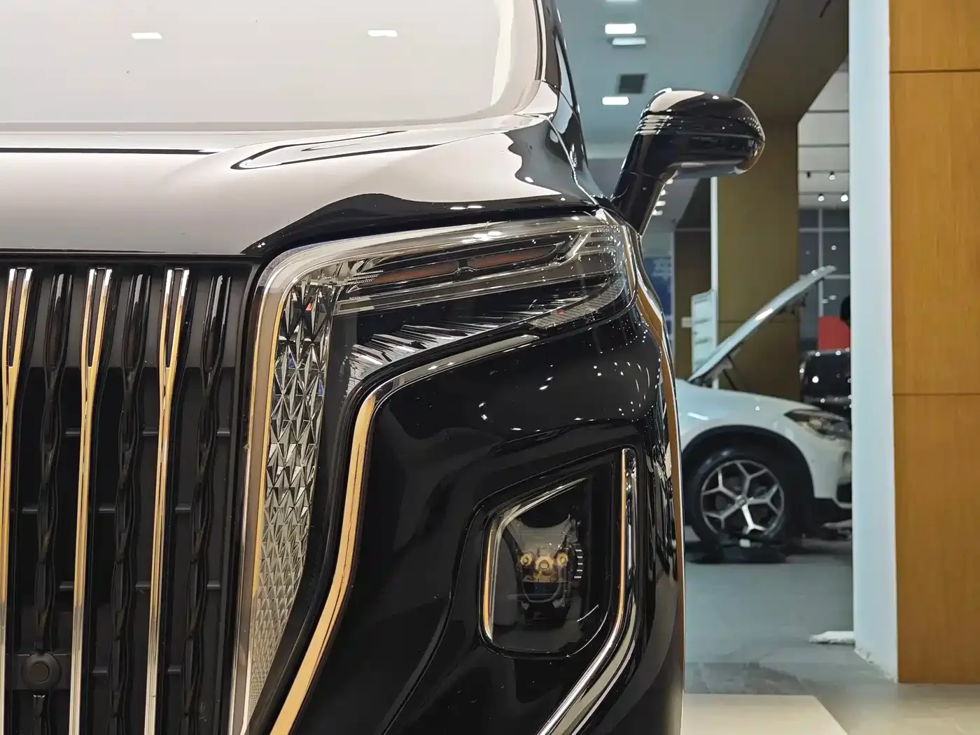 Hongqi Hongqi HQ9 2023 2.0T Smart Connect Flag Rhyme Edition — Фото автомобиля 2