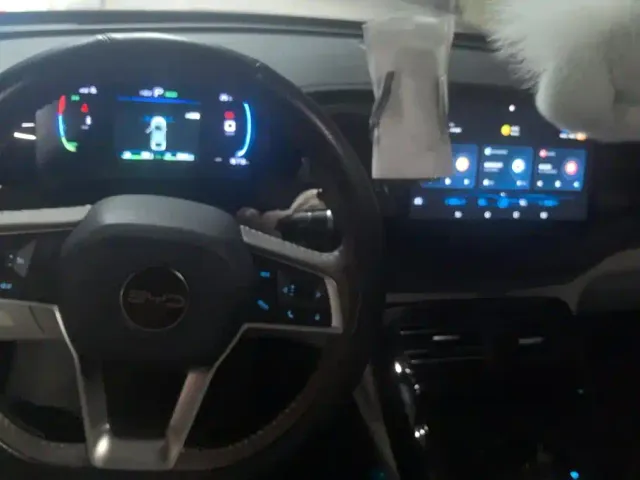 BYD Qin PLUS — Фото автомобиля 12