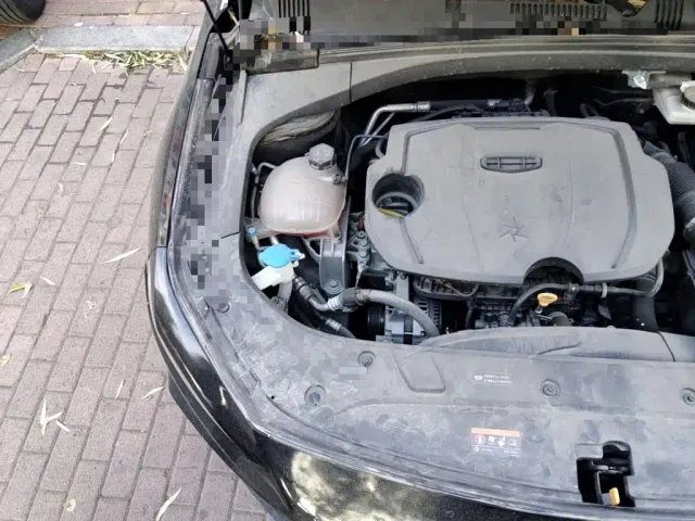 Geely Xingrui — Фото автомобиля 20