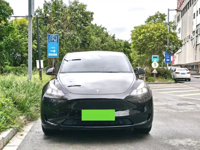 Tesla Model Y — Фото автомобиля 2