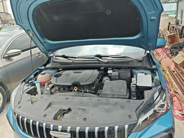 Geely Binrui — Фото автомобиля 19