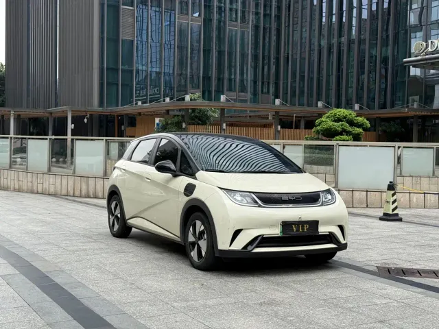 BYD Dolphin — Фото автомобиля 3