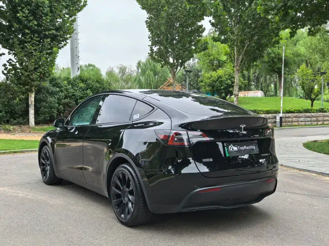 Tesla Model Y — Фото автомобиля 9