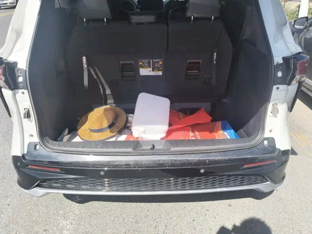 Toyota Granvia — Фото автомобиля 4