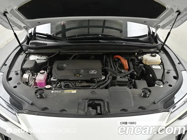 Lexus RX — Фото автомобиля 6