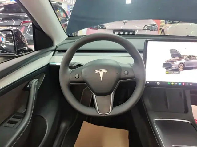 Tesla Model Y — Фото автомобиля 10