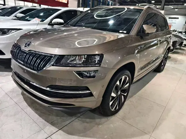 Skoda Karoq — Фото автомобиля 5