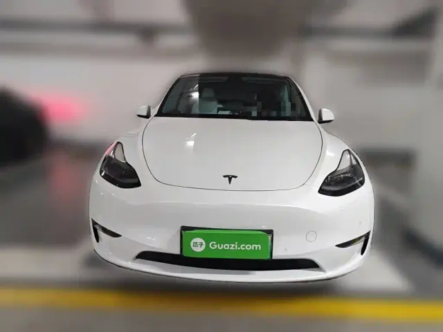 Tesla Model Y — Фото автомобиля 2