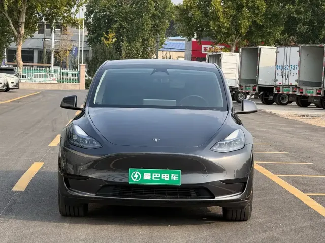 Tesla Model Y — Фото автомобиля 2
