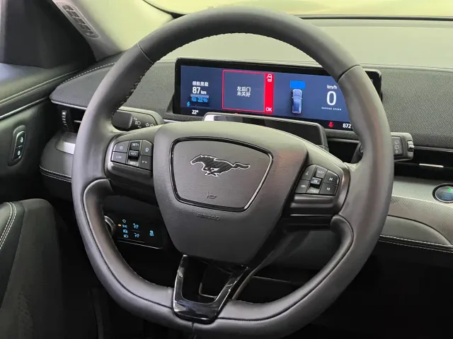 Ford Mustang Mach-E — Фото автомобиля 22