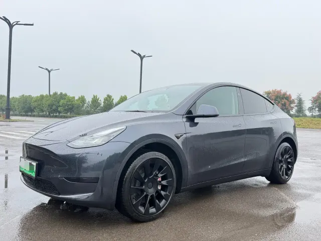 Tesla Model Y — Фото автомобиля 2