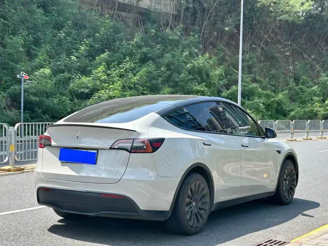 Tesla Model Y — Фото автомобиля 7