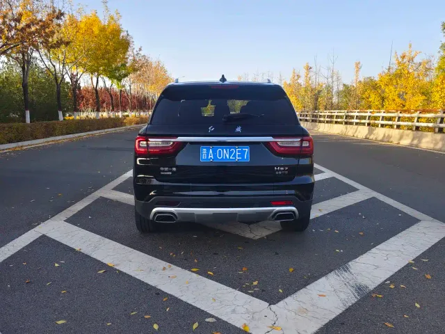 Hongqi HS7 — Фото автомобиля 8