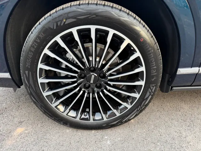 Wey Lanshan — Фото автомобиля 14
