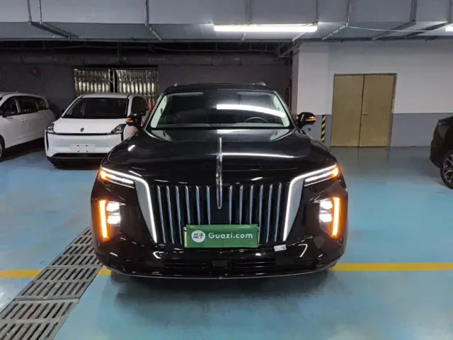 Hongqi E-HS9 — Фото автомобиля 2