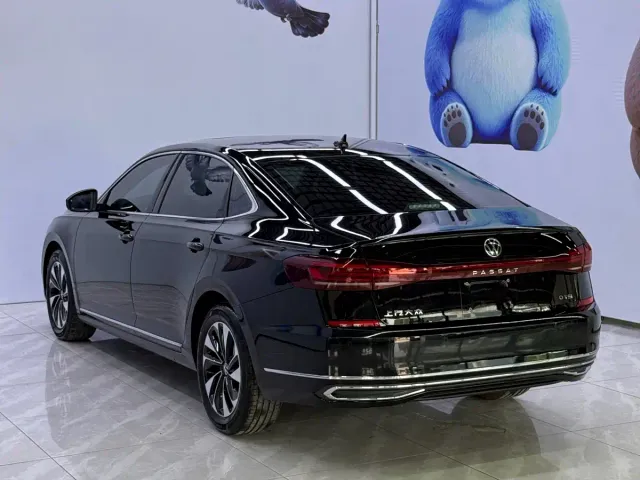 Volkswagen Passat — Фото автомобиля 6