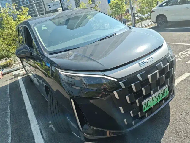 BYD M9 — Фото автомобиля 2