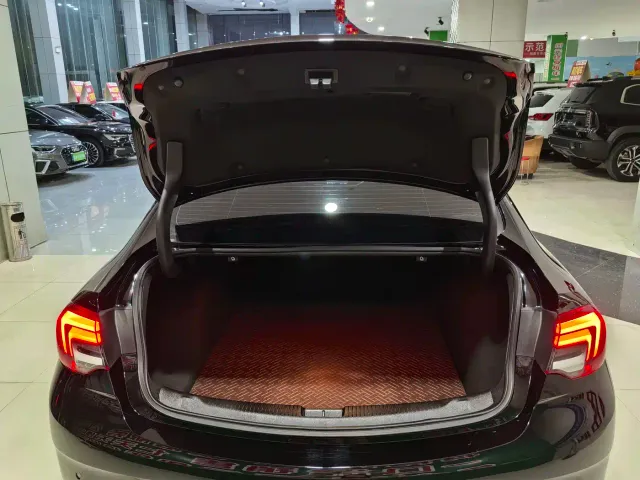Buick Regal — Фото автомобиля 11