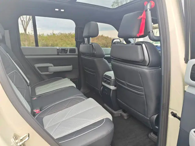 BYD FangChengBao Leopard 5 — Фото автомобиля 17