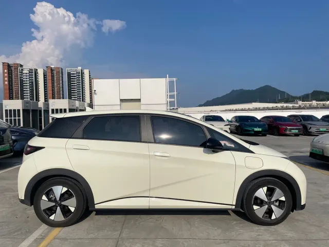 BYD Dolphin — Фото автомобиля 4