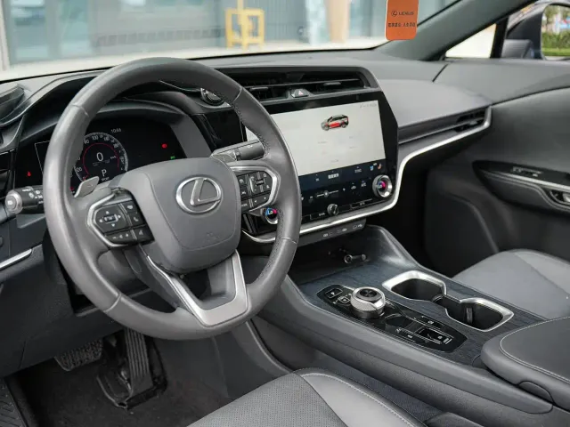 Lexus RZ — Фото автомобиля 8