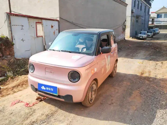 Фотография автомобиля — Geely Panda