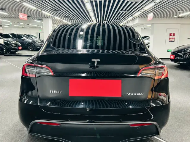 Tesla Model Y — Фото автомобиля 5