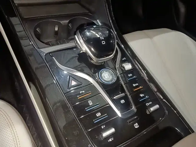 BYD Qin PLUS 2023 Champion Edition DM-i 55KM Leading — Фото автомобиля 13