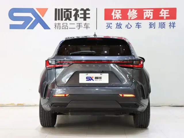 Lexus NX — Фото автомобиля 6