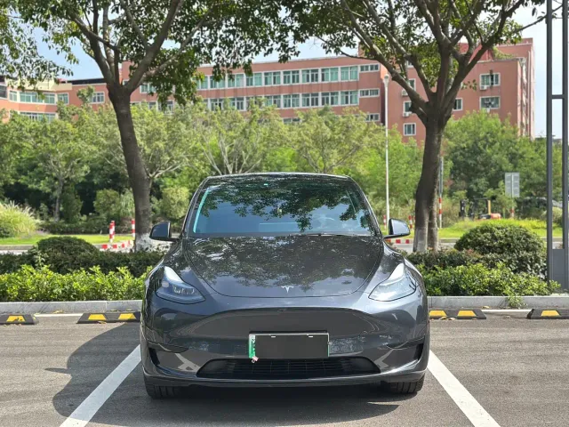 Tesla Model Y — Фото автомобиля 2