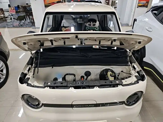 Geely Panda — Фото автомобиля 19