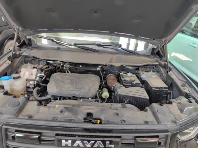 Haval Big Dog — Фото автомобиля 9