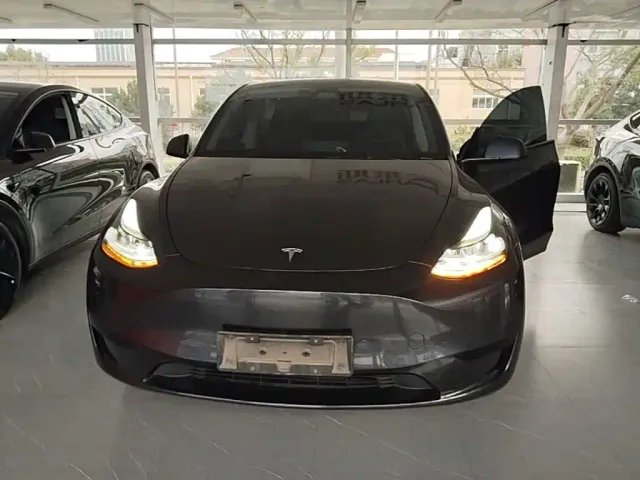 Tesla Model Y — Фото автомобиля 2