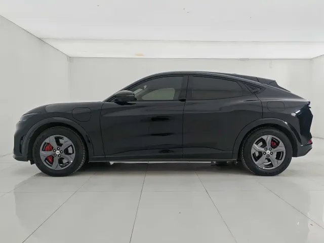 Ford Mustang Mach-E — Фото автомобиля 7