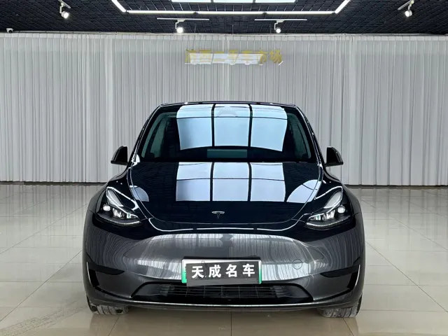 Tesla Model Y — Фото автомобиля 2