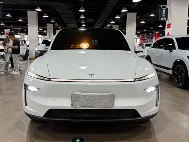 Tesla Model Y — Фото автомобиля 2