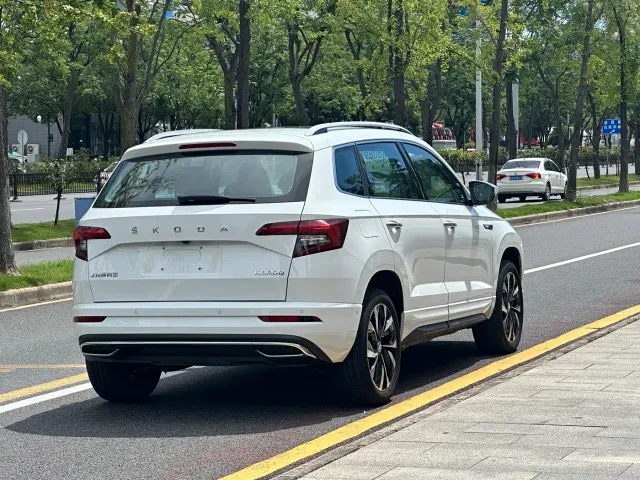 Skoda Karoq — Фото автомобиля 11