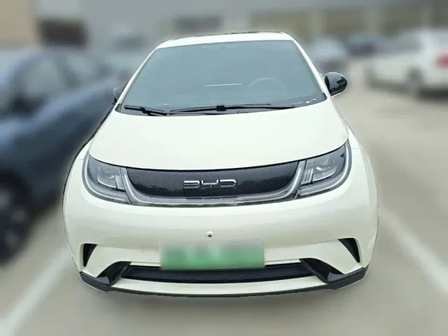 BYD Dolphin — Фото автомобиля 4