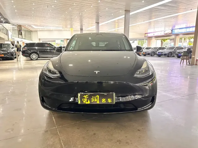 Tesla Model Y — Фото автомобиля 2