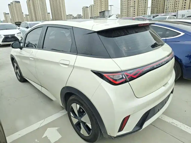 BYD Dolphin — Фото автомобиля 4