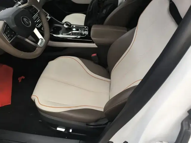 BYD Qin PLUS — Фото автомобиля 14