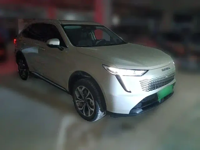 Haval Xiaolong MAX — Фото автомобиля 24